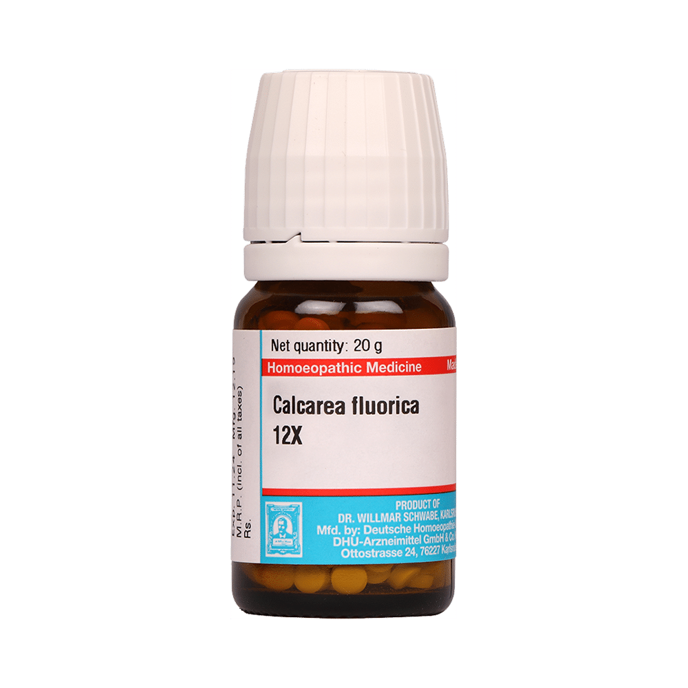Dr Willmar Schwabe Germany Calcarea Fluorica Biochemic Tablet 12X Dr Willmar Schwabe Germany Calcarea Fluorica Biochemic Tablet 12X