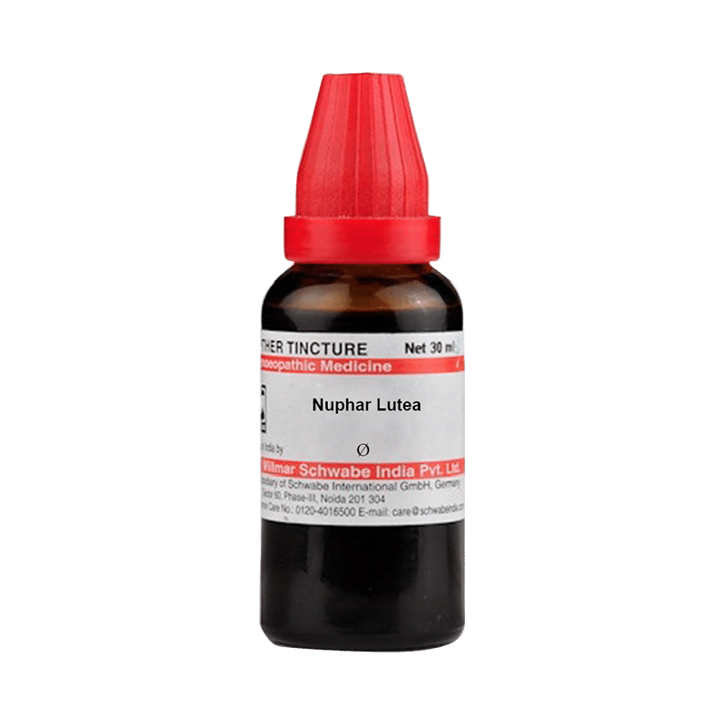 Dr Willmar Schwabe India Nuphar Lutea Mother Tincture Q Dr Willmar Schwabe India Nuphar Lutea Mother Tincture Q