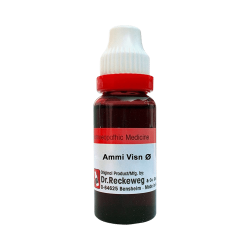 Dr. Reckeweg Ammi Visn Mother Tincture Q