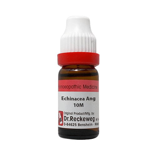 Dr. Reckeweg Echinacea Ang Dilution 10M CH