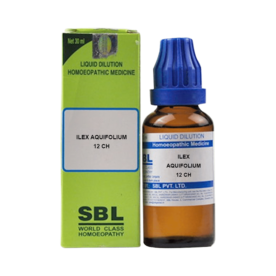 SBL Ilex Aquifolium Dilution 12 CH