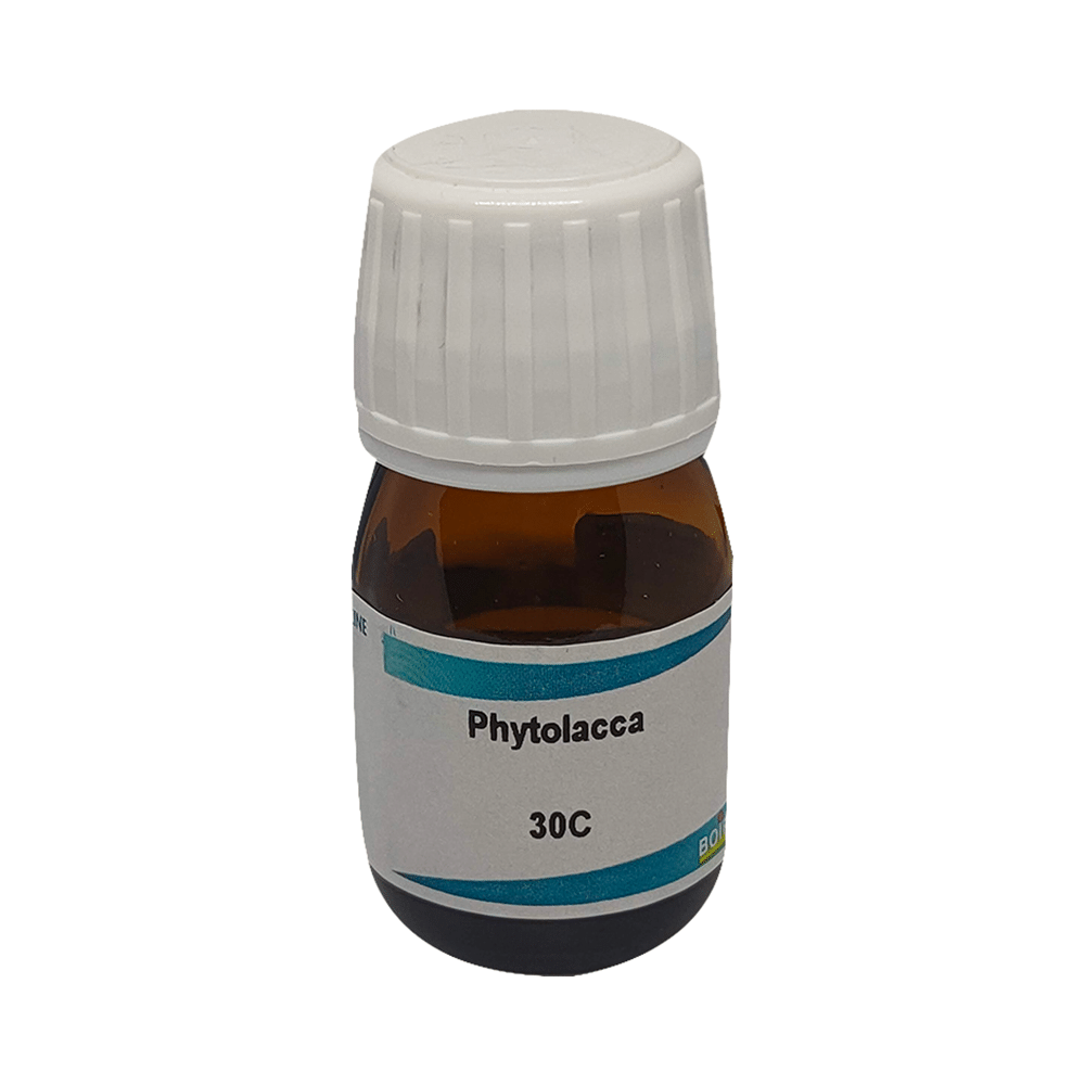 Boiron Phytolacca Dilution 30C Dilutions Homeopathy image
