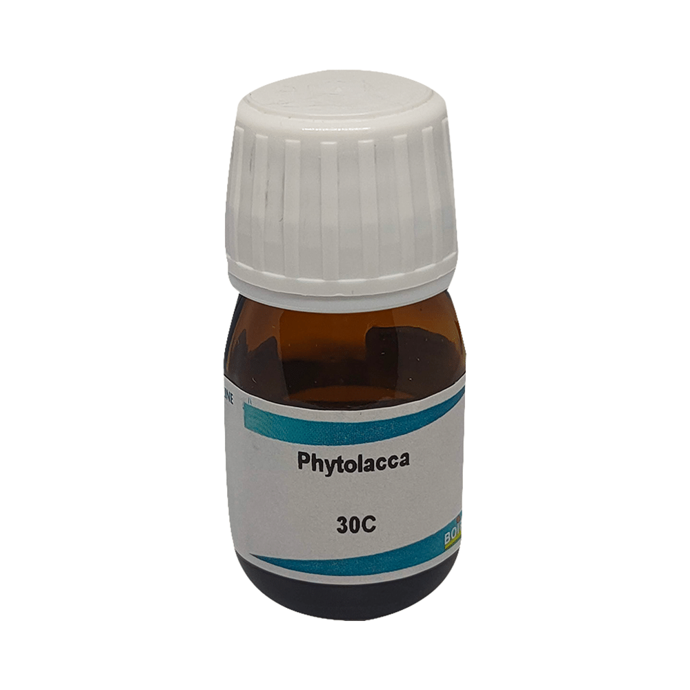 Showing image for Boiron Phytolacca Dilution 30C Boiron Phytolacca Dilution 30C Dilutions Homeopathy image
