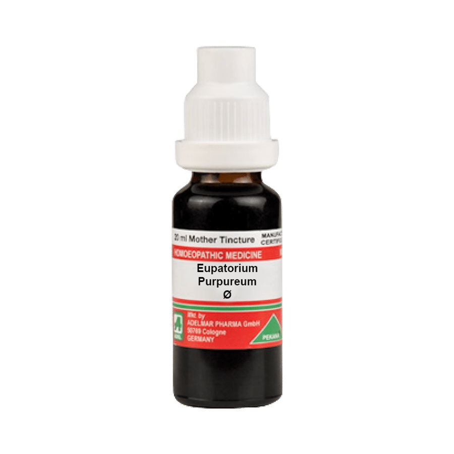 ADEL Eupatorium Purpureum Mother Tincture Q ADEL Eupatorium Purpureum Mother Tincture Q