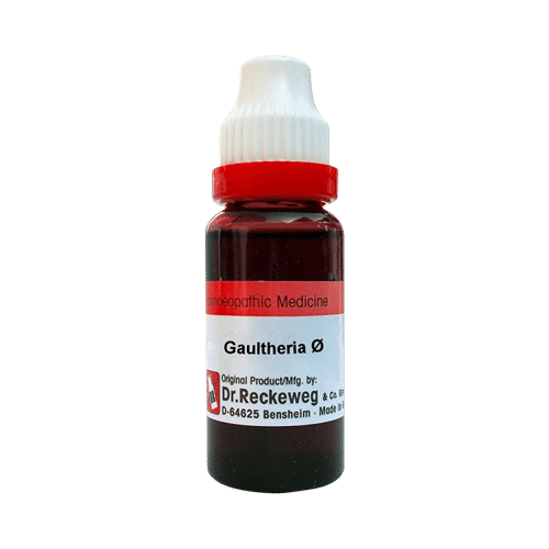 Dr. Reckeweg Gaultheria Mother Tincture Q