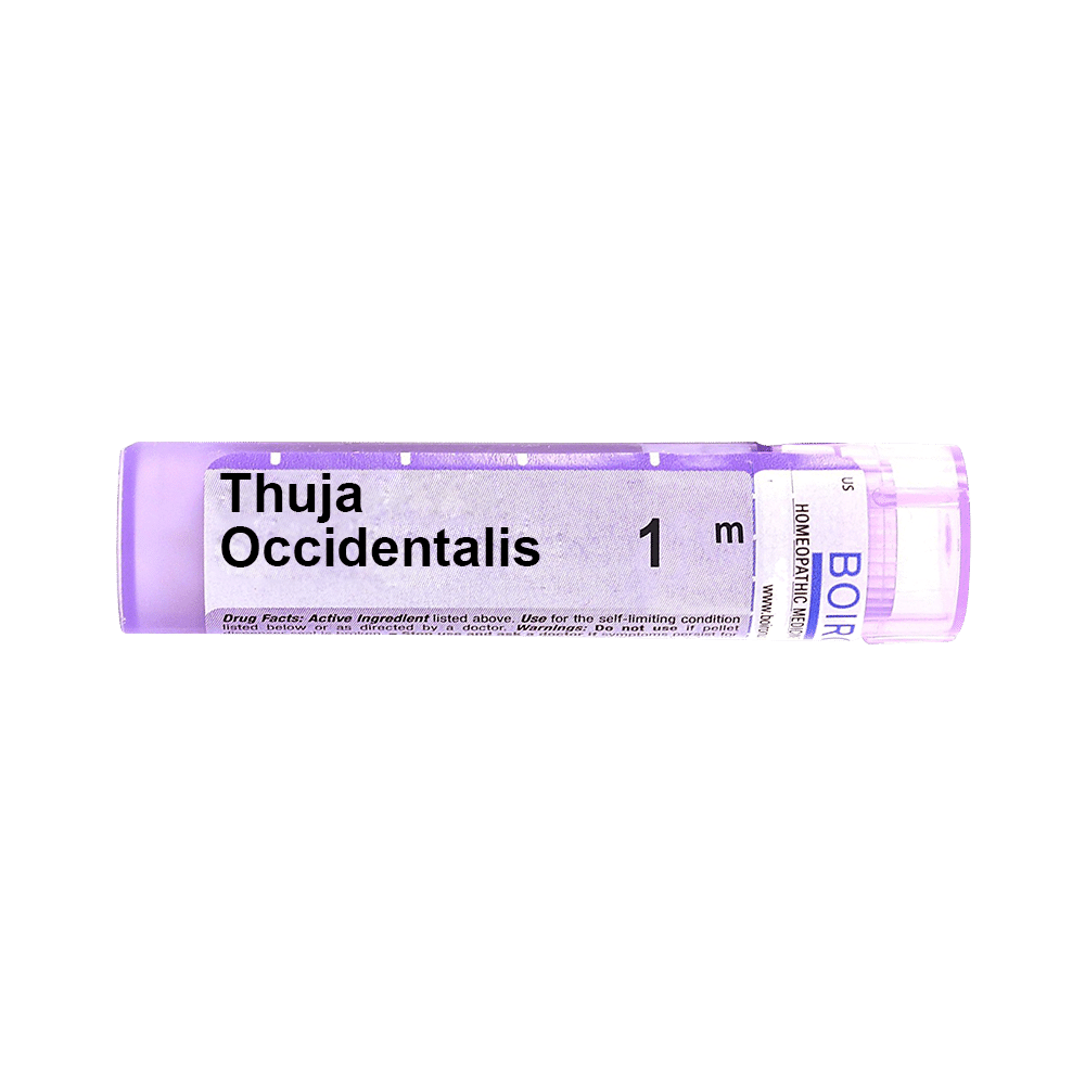 Boiron Thuja Occidentalis Multi Dose Approx 80 Pellets 1000 CH 1M (1000 CH), Homeopathic medicine for Digestive System, Homeopathic medicine for Constipation, Homeopathic medicine for Gastritis, Acidity & Indigestion, Homeopathic medicine for Loss of Appe