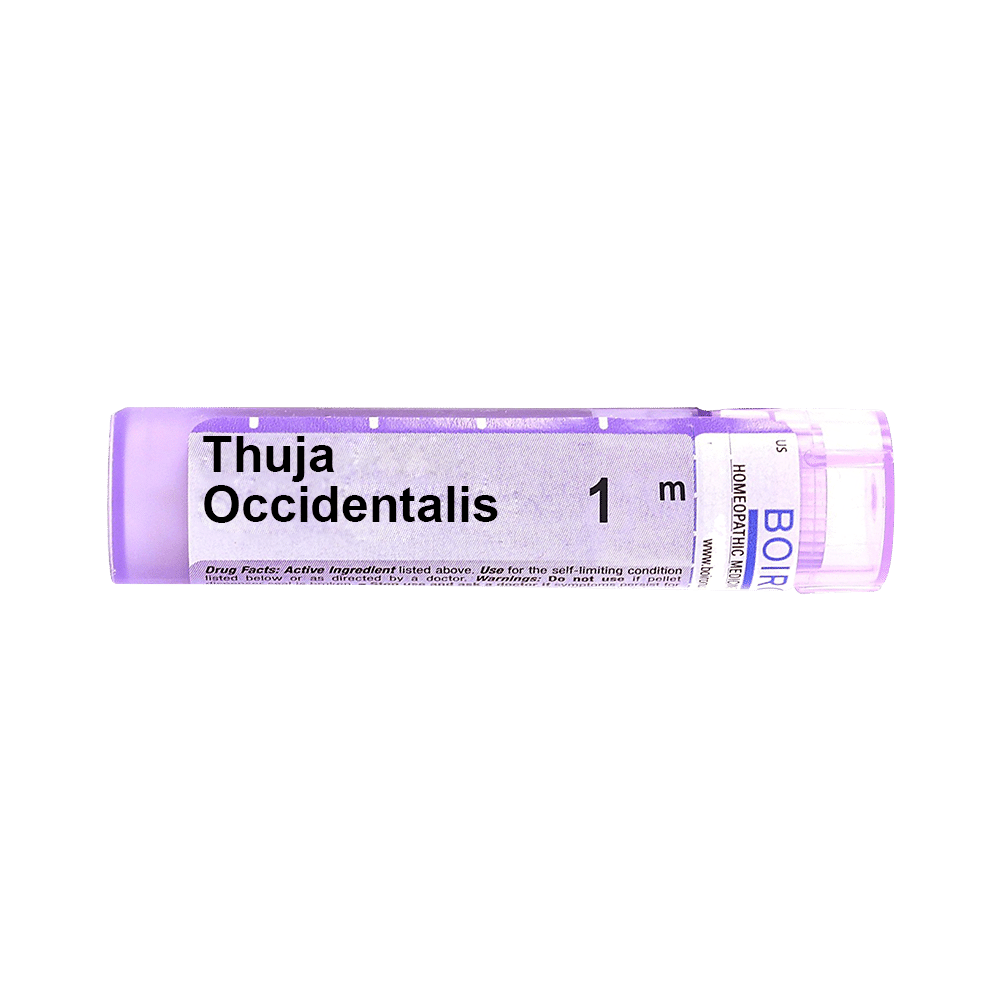 Showing image for Boiron Thuja Occidentalis Multi Dose Approx 80 Pellets 1000 CH Boiron Thuja Occidentalis Multi Dose Approx 80 Pellets 1000 CH 1M (1000 CH), Homeopathic medicine for Digestive System, Homeopathic medicine for Constipation, Homeopathic medicine for Gastritis, Acidity & Indigestion, Homeopathic medicine for Loss of Appe