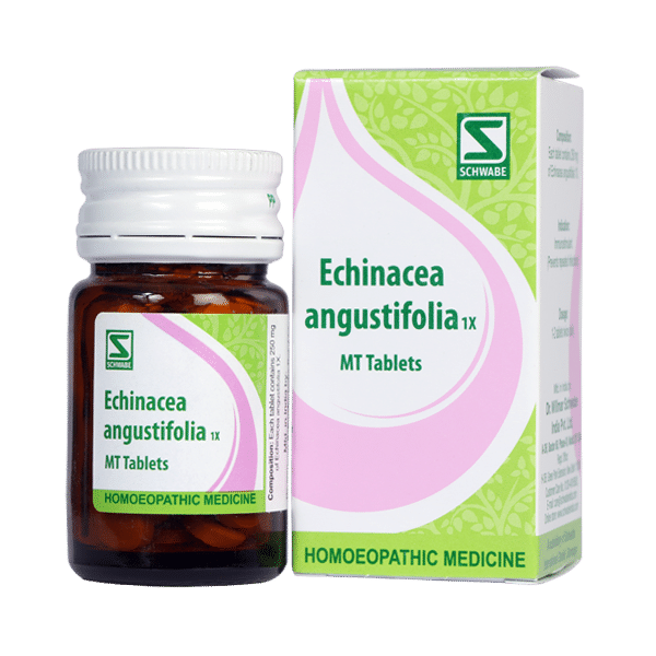 Dr Willmar Schwabe India Echinacea Angustifolia Tablet 1X