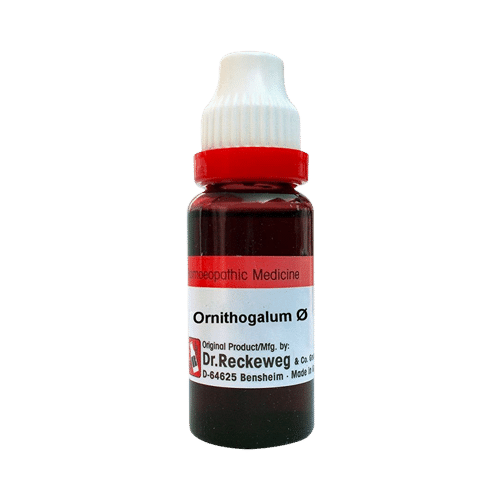 Dr. Reckeweg Ornithogalum Mother Tincture Q Dr. Reckeweg Ornithogalum Mother Tincture Q