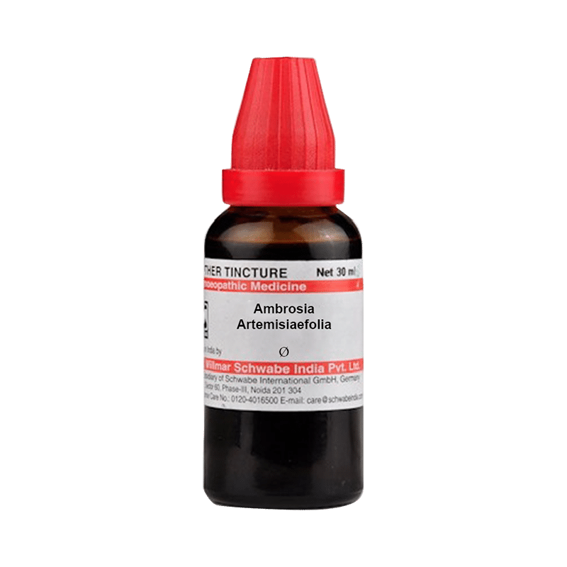 Dr Willmar Schwabe India Ambrosia Artemisiaefolia Mother Tincture Q Dr Willmar Schwabe India Ambrosia Artemisiaefolia Mother Tincture Q
