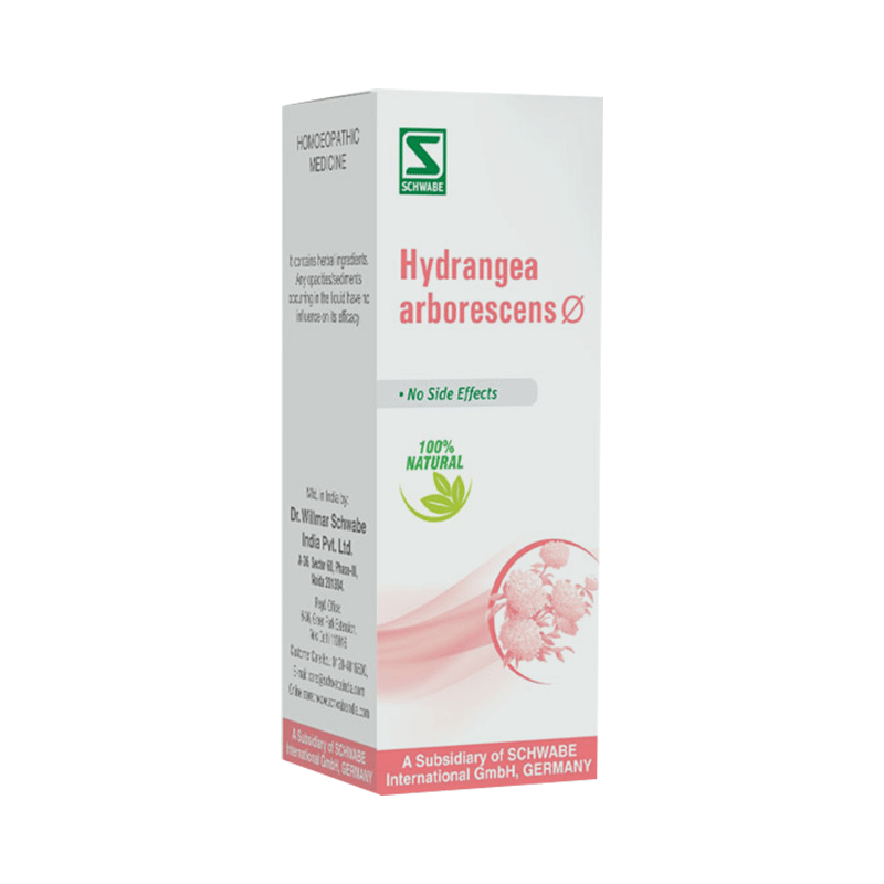 Dr Willmar Schwabe India Hydrangea Arborescens Mother Tincture Q Dr Willmar Schwabe India Hydrangea Arborescens Mother Tincture Q