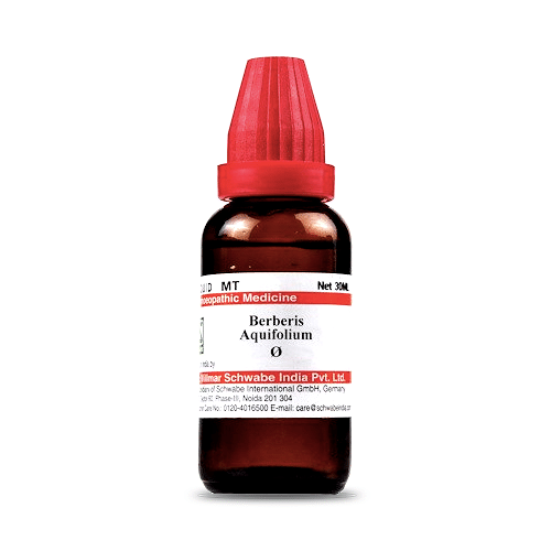 Dr Willmar Schwabe India Berberis Aquifolium Mother Tincture Q Dr Willmar Schwabe India Berberis Aquifolium Mother Tincture Q