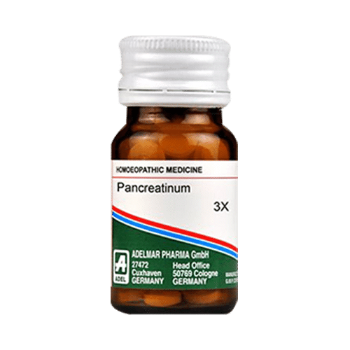 ADEL Pancreatinum Trituration Tablet 3X