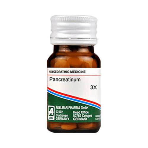ADEL Pancreatinum Trituration Tablet 3X ADEL Pancreatinum Trituration Tablet 3X