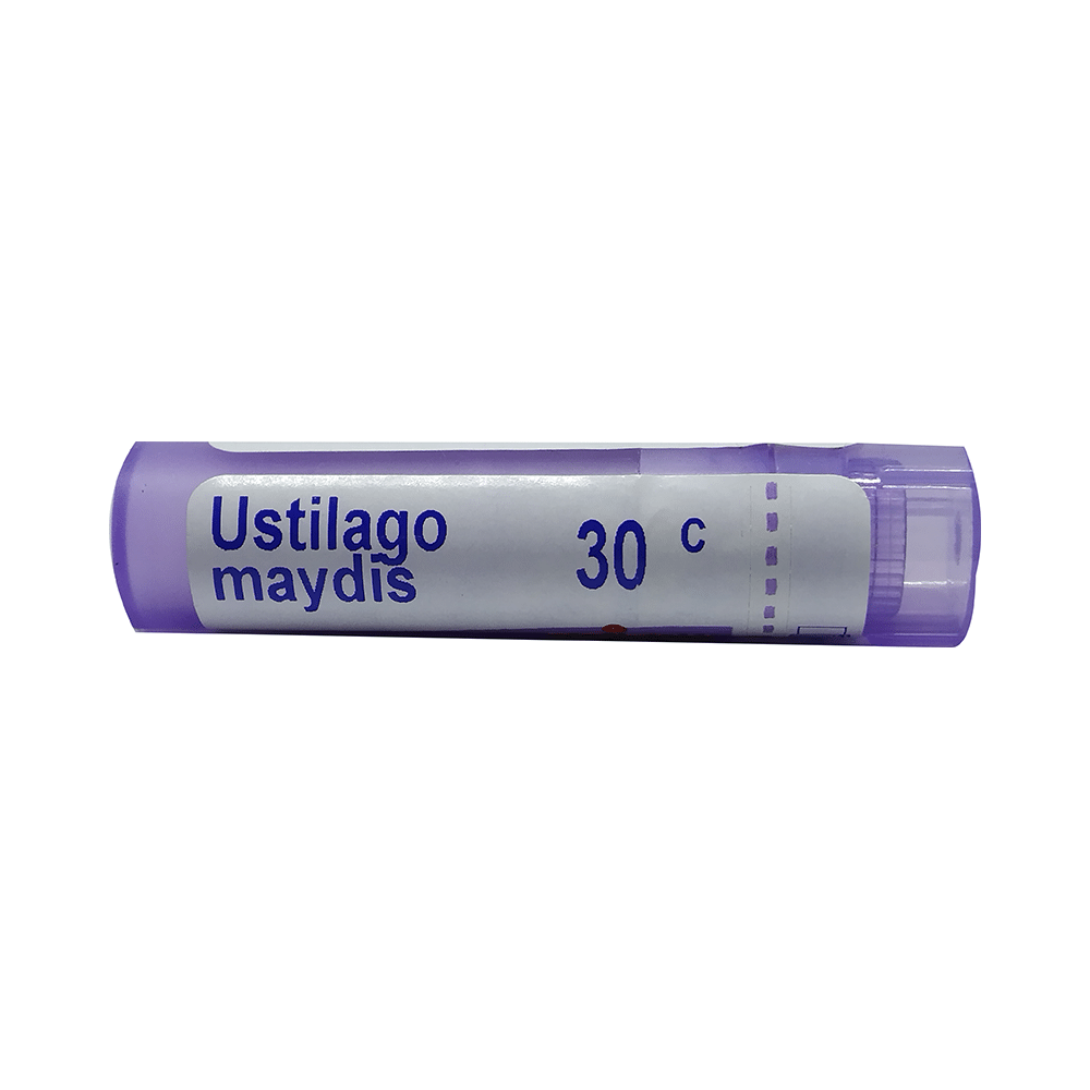 Showing image for Boiron Ustilago Maydis Pellets 30C Boiron Ustilago Maydis Pellets 30C Homeopathic medicine for Nervous System, Homeopathic medicine for Headache & Migraine image