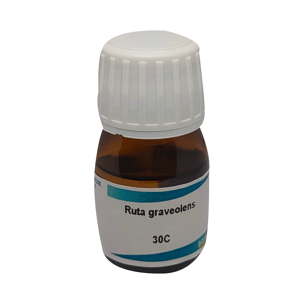 Showing image for Boiron Ruta Graveolens Dilution 30C Boiron Ruta Graveolens Dilution 30C image