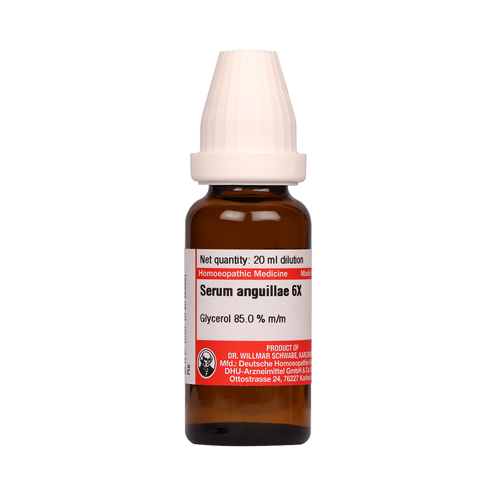 Dr Willmar Schwabe Germany Serum Anguillae Dilution 6X Dr Willmar Schwabe Germany Serum Anguillae Dilution 6X