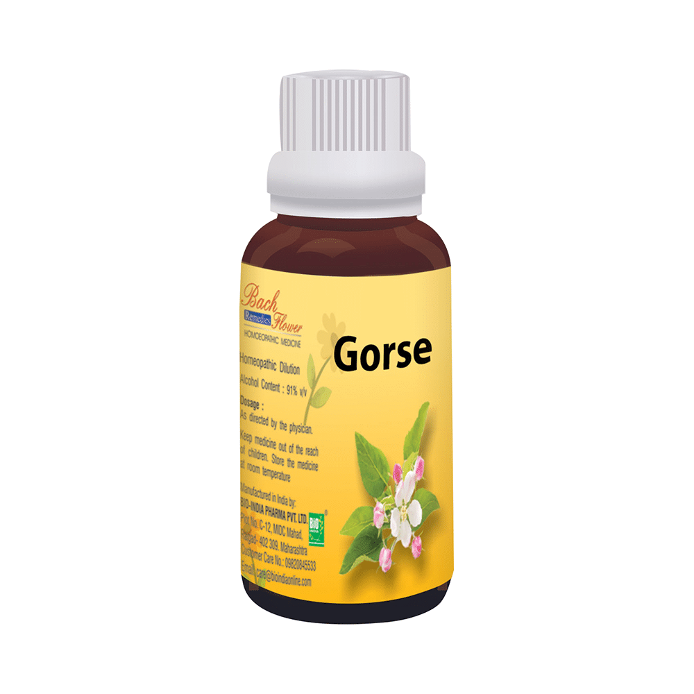 Showing image for Bio India Bach Flower Gorse Bio India Bach Flower Gorse Bach Flower Remedies image