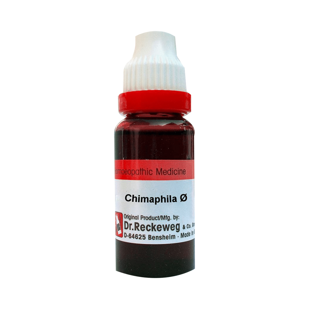 Dr. Reckeweg Chimaphila Mother Tincture Q Dr. Reckeweg Chimaphila Mother Tincture Q