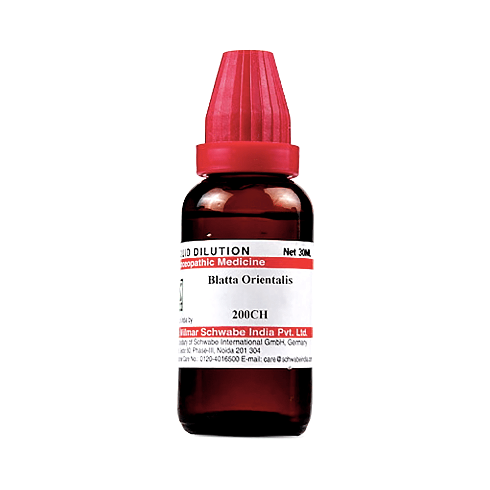 Dr Willmar Schwabe India Blatta Orientalis Dilution 200 CH Dr Willmar Schwabe India Blatta Orientalis Dilution 200 CH