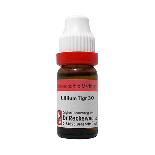 Dr. Reckeweg Lilium Tigrinum Dilution 30 CH Dr. Reckeweg Lilium Tigrinum Dilution 30 CH