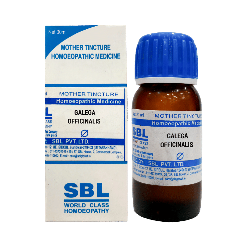 SBL Galega Officinalis Mother Tincture Q SBL Galega Officinalis Mother Tincture Q