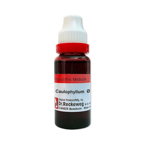 Dr. Reckeweg Caulophyllum Mother Tincture Q Dr. Reckeweg Caulophyllum Mother Tincture Q