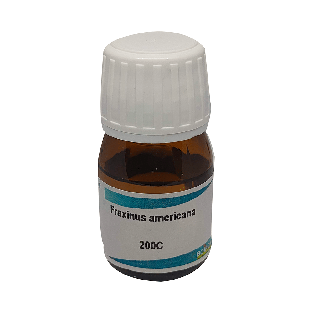 Showing image for Boiron Fraxinus Americana Dilution 200C Boiron Fraxinus Americana Dilution 200C image