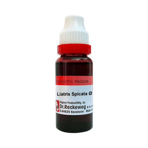Dr. Reckeweg Liatris Spicata Mother Tincture Q Dr. Reckeweg Liatris Spicata Mother Tincture Q