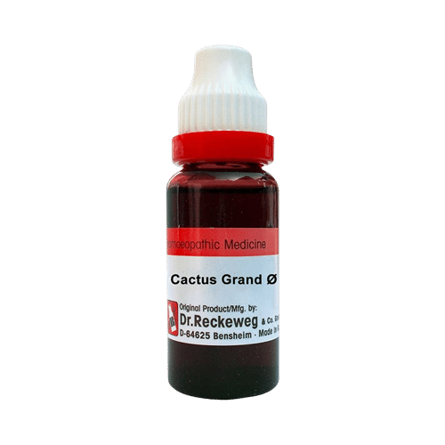 Dr. Reckeweg Cactus Grand Mother Tincture Q Dr. Reckeweg Cactus Grand Mother Tincture Q