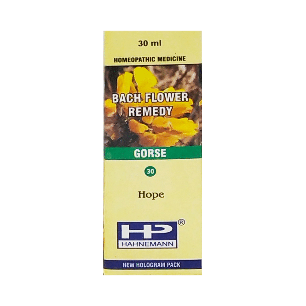 Showing image for Hahnemann Bach Flower Gorse 30 Hahnemann Bach Flower Gorse 30 image