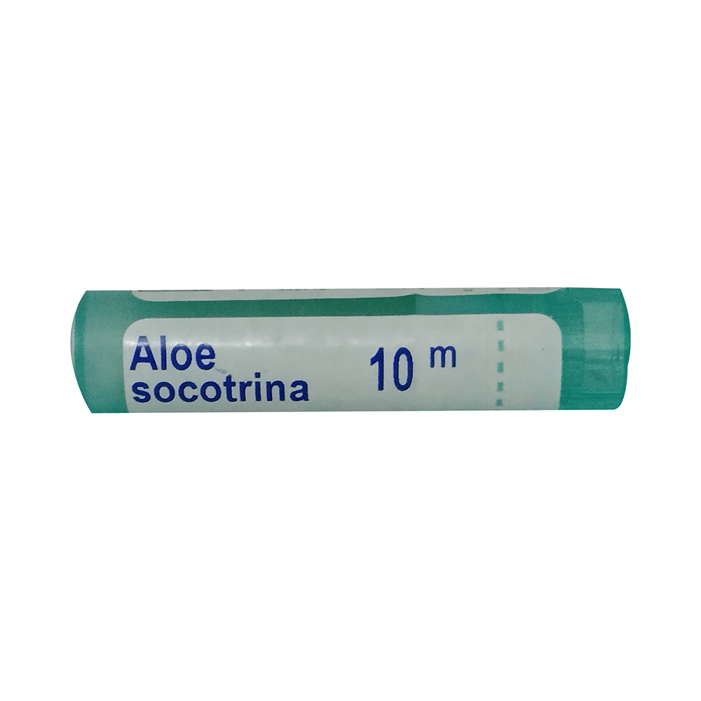 Showing image for Boiron Aloe Socotrina Pellets 10M Boiron Aloe Socotrina Pellets 10M Homeopathic medicine for Irritability & Hyperactivity, Homeopathic medicine for Digestive System, Homeopathic medicine for Constipation, Homeopathic medicine for Gastritis, Acidity & Indigestion, Homeopathic medicine for