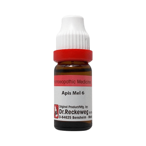 Dr. Reckeweg Apis Mell Dilution 6 CH Dr. Reckeweg Apis Mell Dilution 6 CH