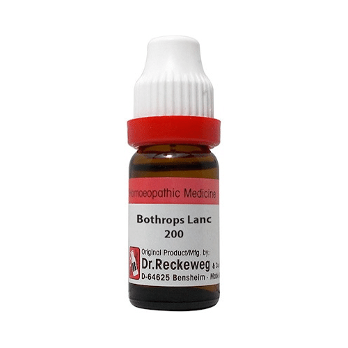 Dr. Reckeweg Bothrops Lanc Dilution 200 CH Dr. Reckeweg Bothrops Lanc Dilution 200 CH