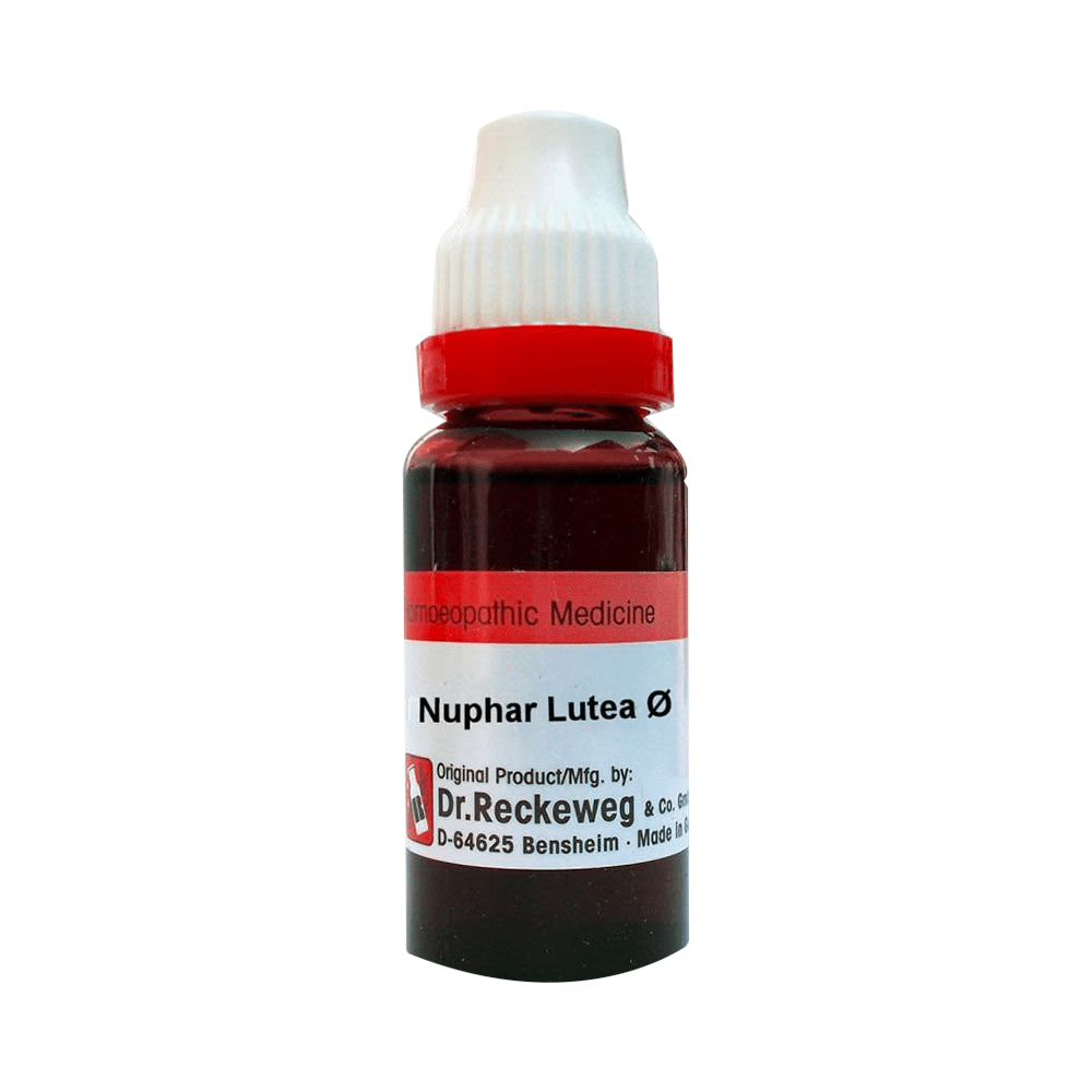 Dr. Reckeweg Nuphar Luteum Mother Tincture Q Dr. Reckeweg Nuphar Luteum Mother Tincture Q