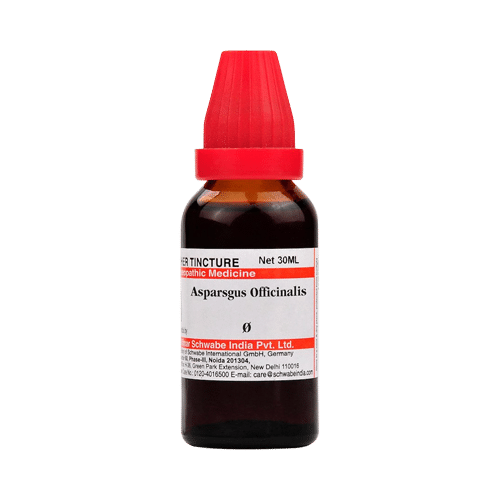 Dr Willmar Schwabe India Asparsgus Officinalis Mother Tincture Q