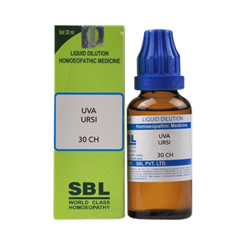 SBL Uva Ursi Dilution 30 CH Dilutions Homeopathy, 30 CH, Homeopathic medicine for Respiratory System, Homeopathic medicine for Bronchitis image