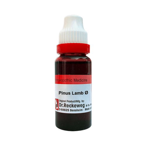 Dr. Reckeweg Pinus Lamb Mother Tincture Q Dr. Reckeweg Pinus Lamb Mother Tincture Q