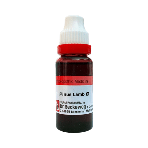 Dr. Reckeweg Pinus Lamb Mother Tincture Q