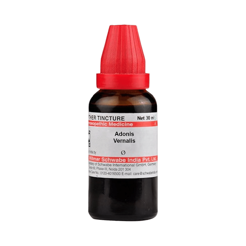 Dr Willmar Schwabe India Adonis Vernalis Mother Tincture Q Dr Willmar Schwabe India Adonis Vernalis Mother Tincture Q