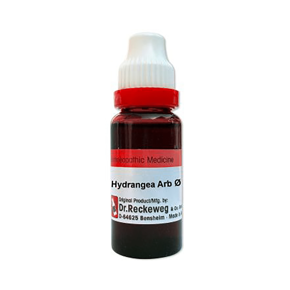 Dr. Reckeweg Hydrangea Mother Tincture Q Dr. Reckeweg Hydrangea Mother Tincture Q