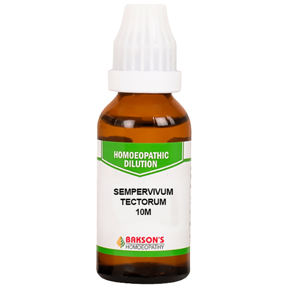 Bakson's Homeopathy Sempervivum Tectorum Dilution 10M Bakson's Homeopathy Sempervivum Tectorum Dilution 10M