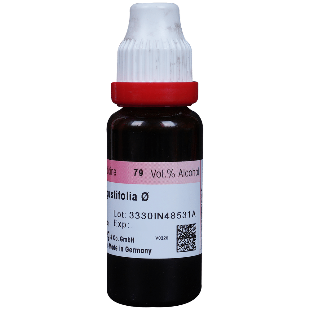 Dr. Reckeweg Echinacea Ang Mother Tincture Q Dr. Reckeweg Echinacea Ang Mother Tincture Q