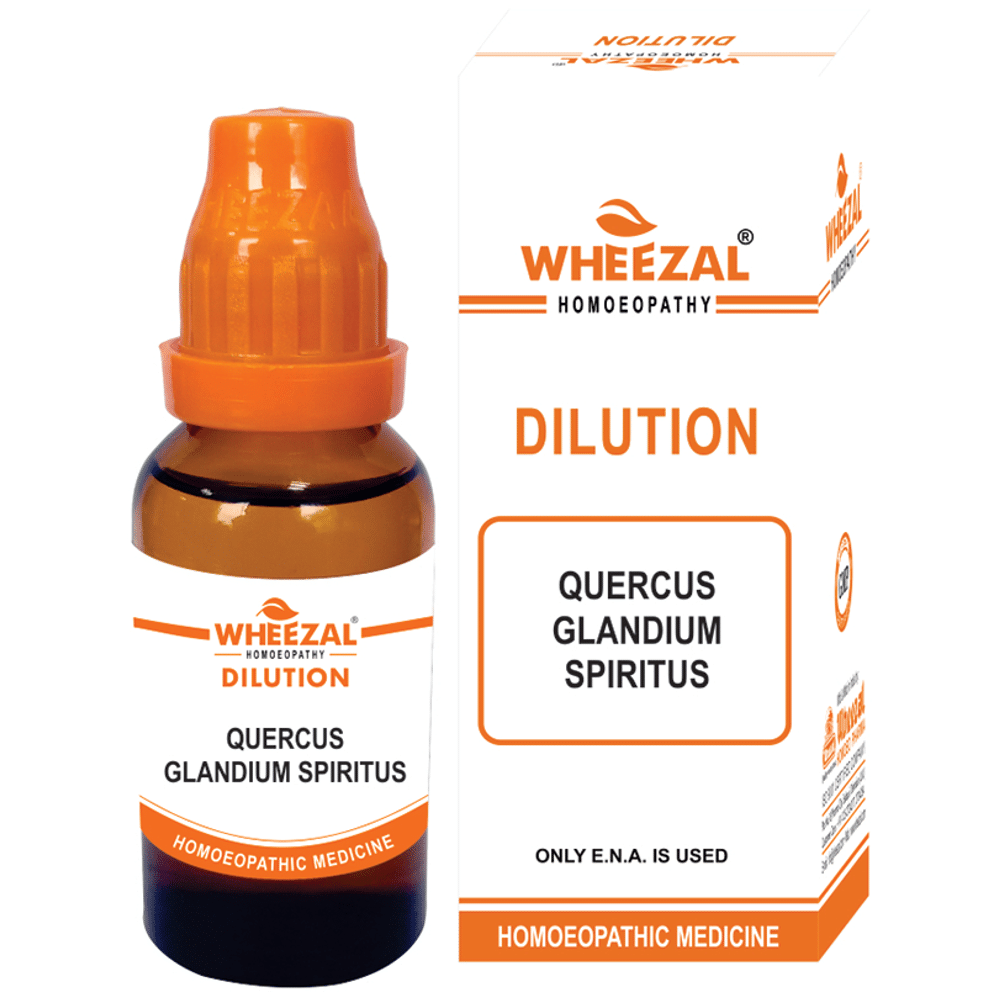 Wheezal Quercus Glandium Spiritus Dilution 6 Wheezal Quercus Glandium Spiritus Dilution 6