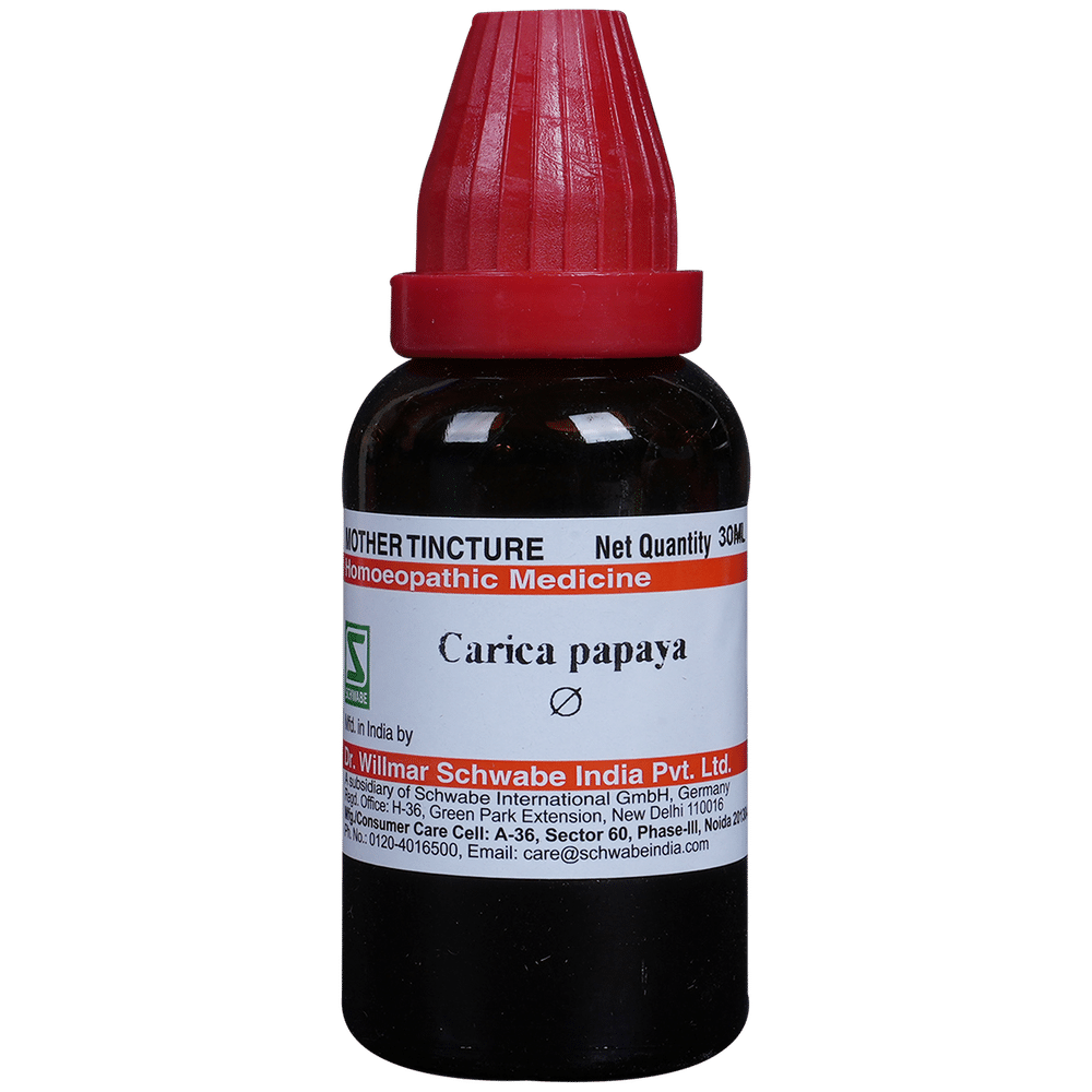 Dr Willmar Schwabe India Carica Papaya Mother Tincture Q Dr Willmar Schwabe India Carica Papaya Mother Tincture Q