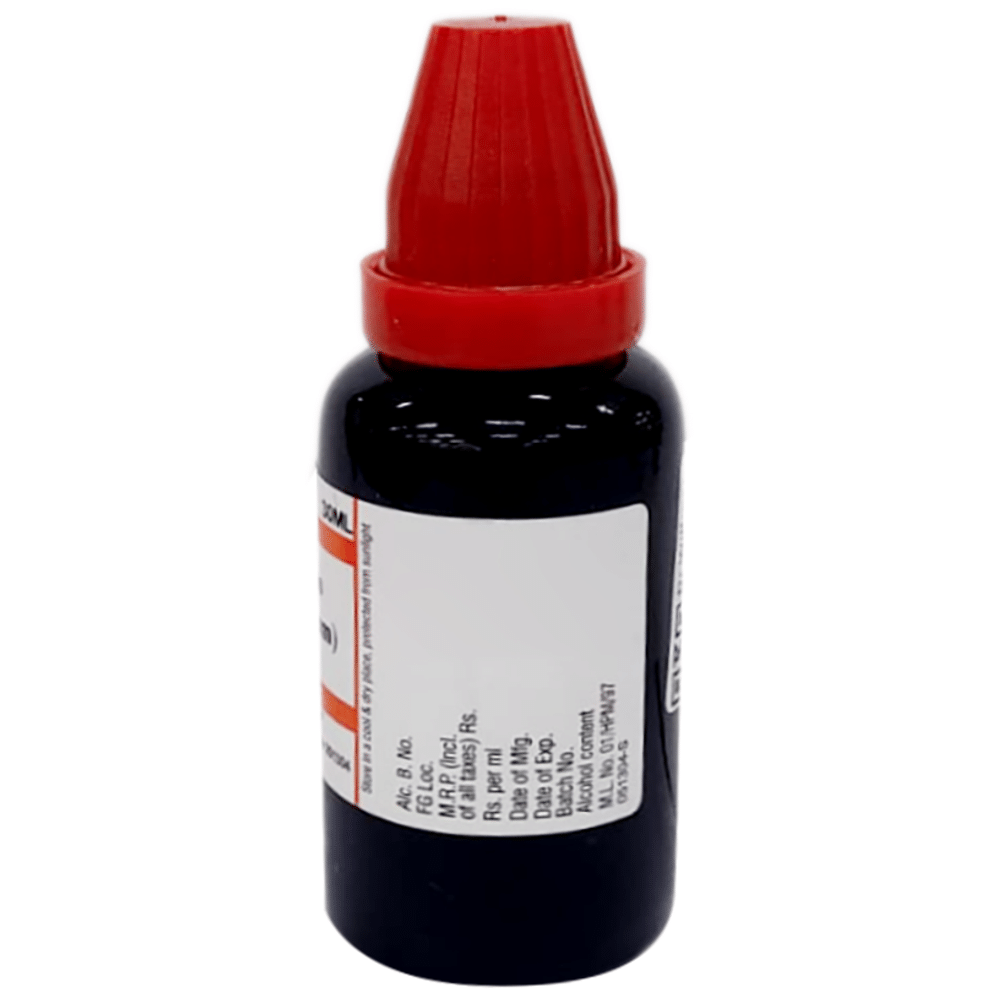 Dr Willmar Schwabe India Spartium Scoparium Mother Tincture Q Dr Willmar Schwabe India Spartium Scoparium Mother Tincture Q