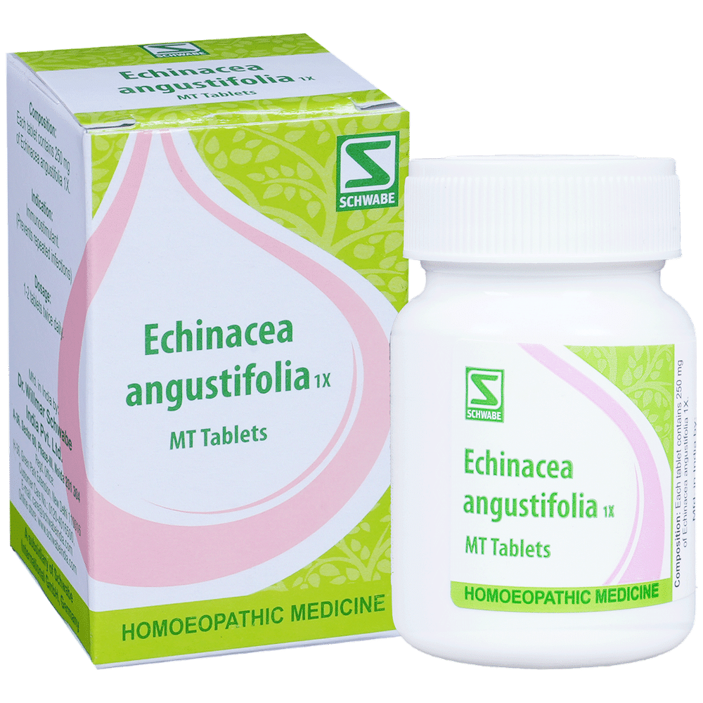 Dr Willmar Schwabe India Echinacea Angustifolia Tablet 1X Dr Willmar Schwabe India Echinacea Angustifolia Tablet 1X