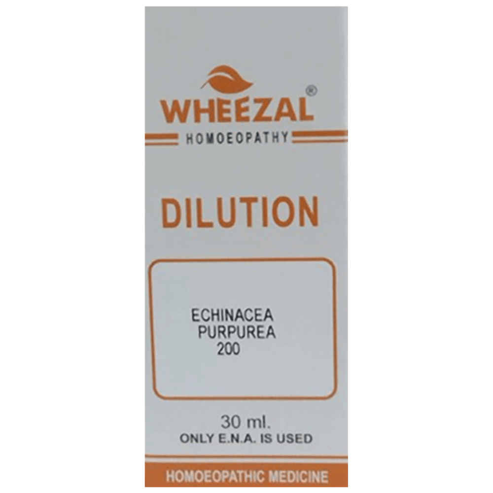 Wheezal Echinacea Purpurea Dilution 200 Wheezal Echinacea Purpurea Dilution 200
