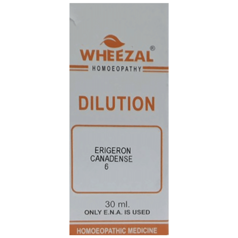 Wheezal Erigeron Canadensis Dilution 6 Wheezal Erigeron Canadensis Dilution 6