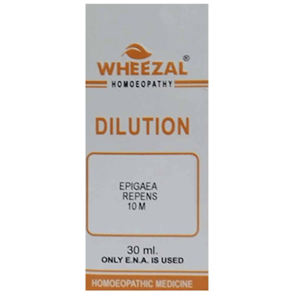 Wheezal Epigaea repnes Dilution 10M Wheezal Epigaea repnes Dilution 10M